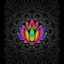 Queen Lotus Flower Plush Blanket – Queen Size – Ultra Soft & Durable