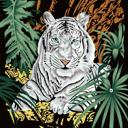 Queen White Tiger – Plush Queen Size Blanket, Ultra Soft & Cozy