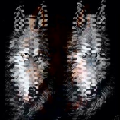 Wolf Spirit Mink Blanket  Indigo Queen Edition