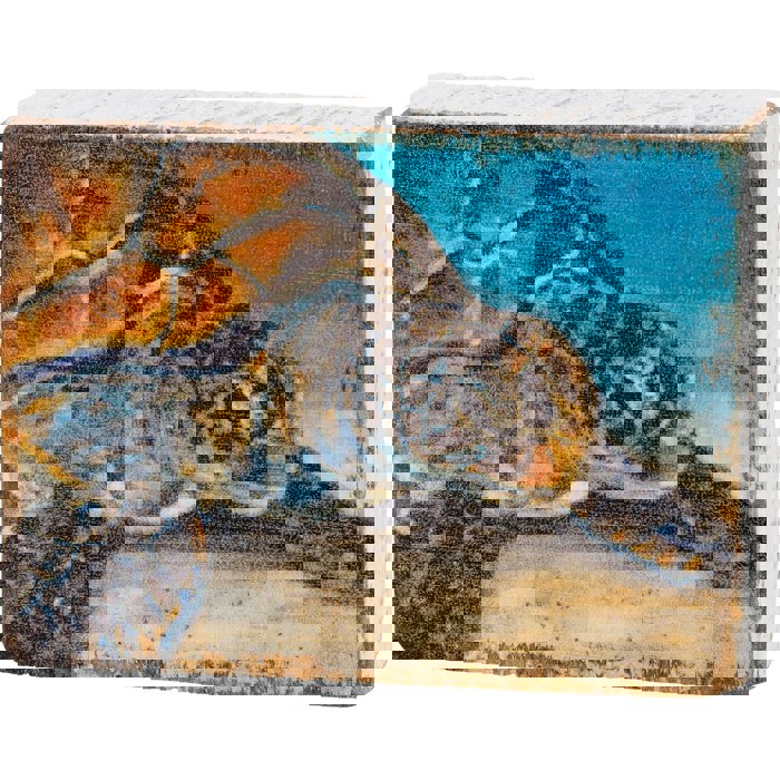 Sea Turtle Block Sign