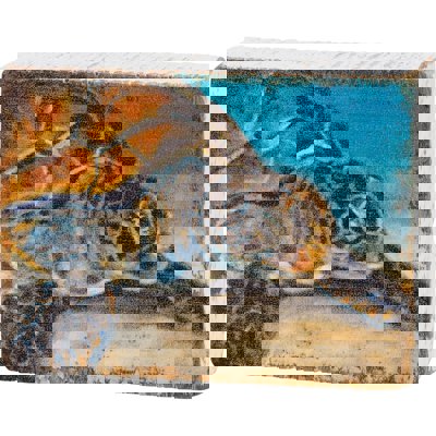 Sea Turtle Block Sign