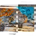  Sea Turtle Block Sign