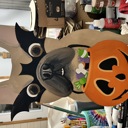  French Bulldog in Bat Mask – Halloween Hand-Painted Birch Door Hanger