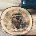  Personalized Engraved Wood Slice - Pet Breed & Name- Personalized Picks for 2025