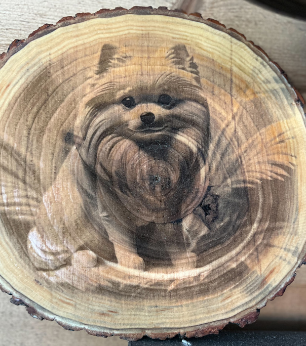 Personalized Engraved Wood Slice - Pet Breed & Name- Personalized Picks for 2025