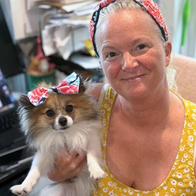 Patriotic Chinoiserie Floral Dog Bow Clip 