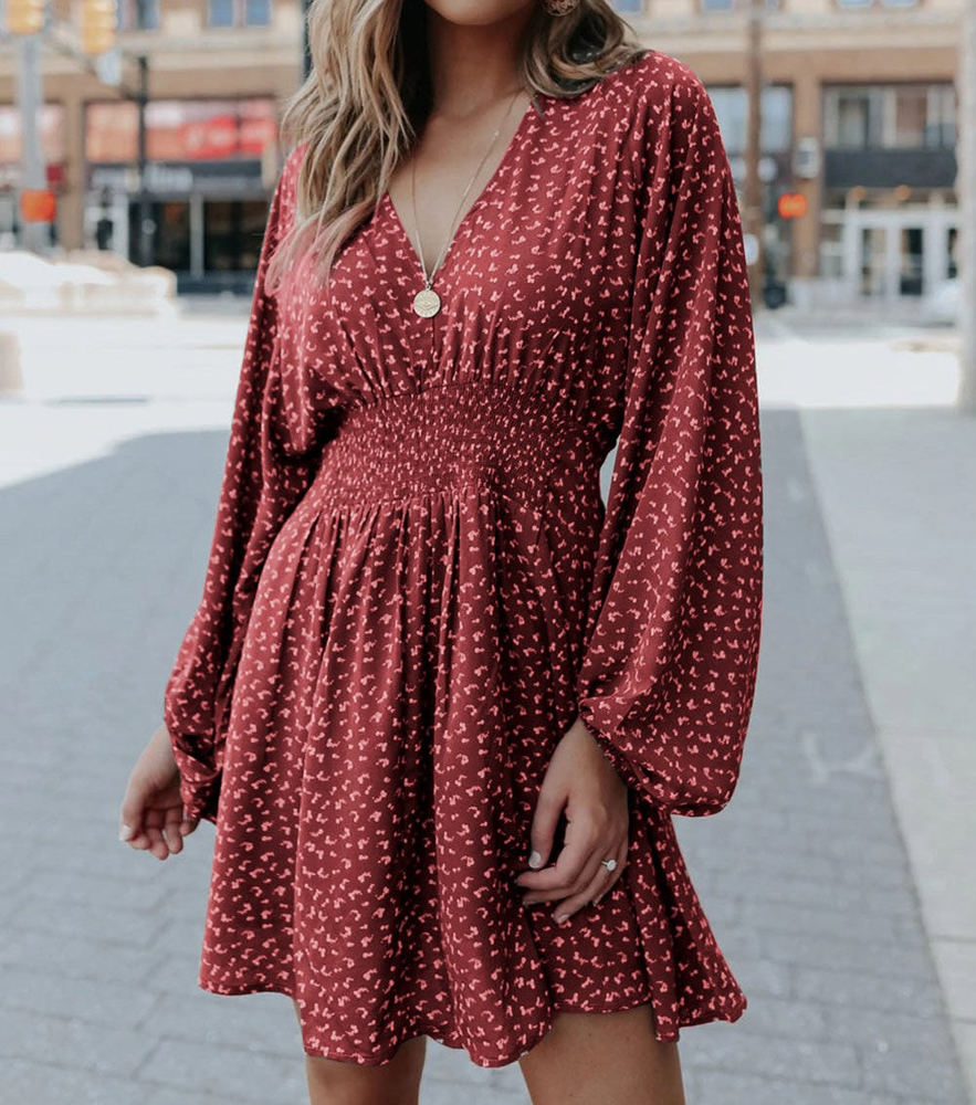 Balloon Sleeve Dress