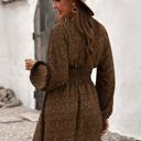 Large Brown Balloon Sleeve Dress