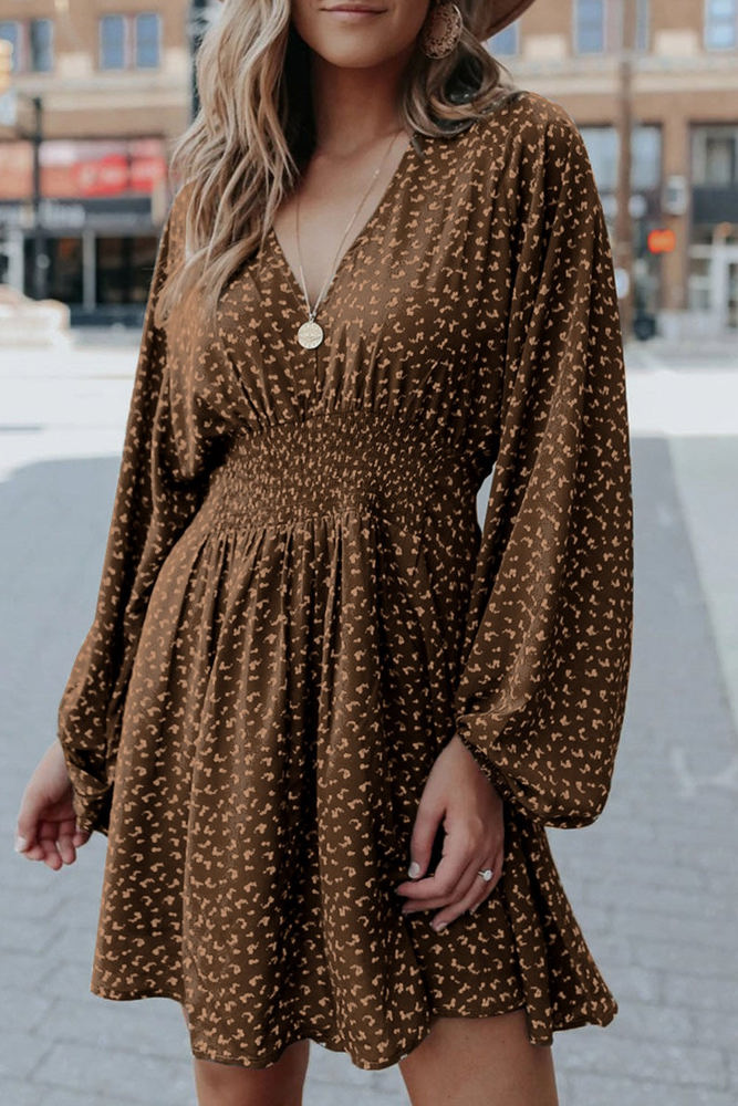 Balloon Sleeve Dress