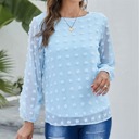 Large Blue Long Sleeve Swiss Dot Top