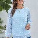 Small Blue Long Sleeve Swiss Dot Top