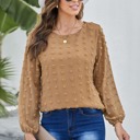 Small Brown Long Sleeve Swiss Dot Top