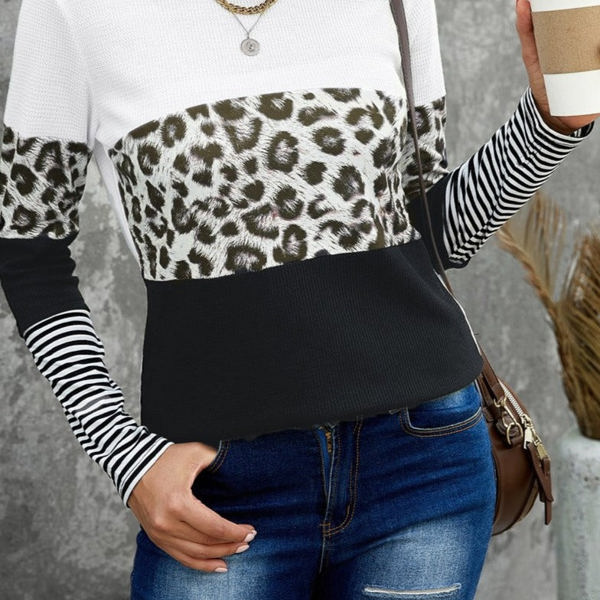 Colorblock Leopard Stripe Top