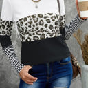  Colorblock Leopard Stripe Top