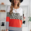  Colorblock Leopard Stripe Top