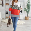  Colorblock Leopard Stripe Top