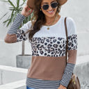 Small Brown Colorblock Leopard Stripe Top