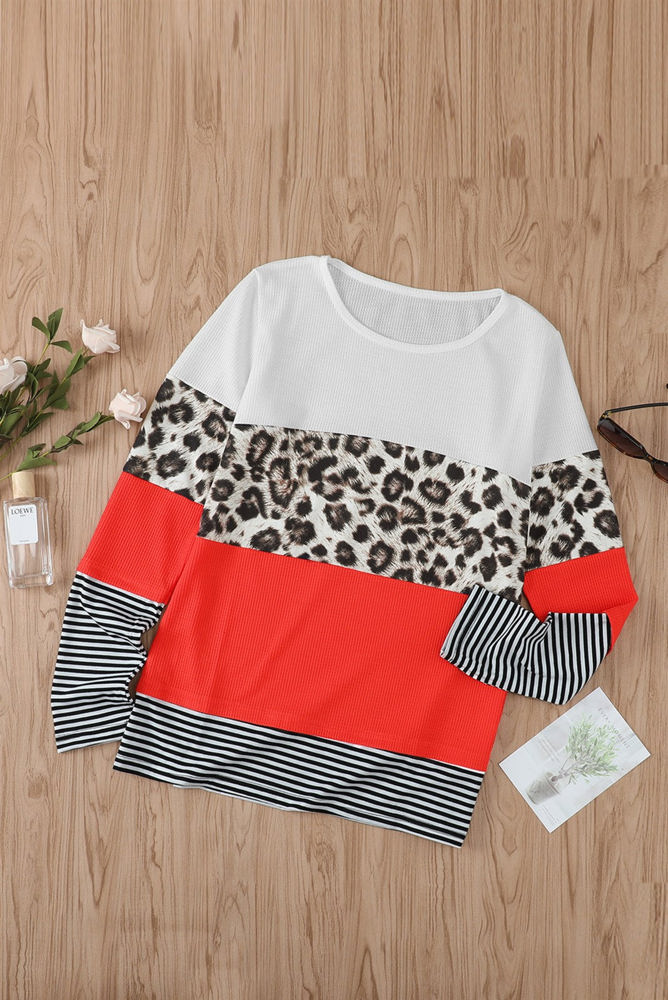 Colorblock Leopard Stripe Top