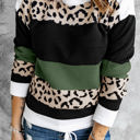 Small Green Leopard Colorblock Pullover