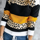 Small Orange Leopard Colorblock Pullover