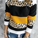 Small Orange Leopard Colorblock Pullover