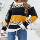 Small Orange Leopard Colorblock Pullover