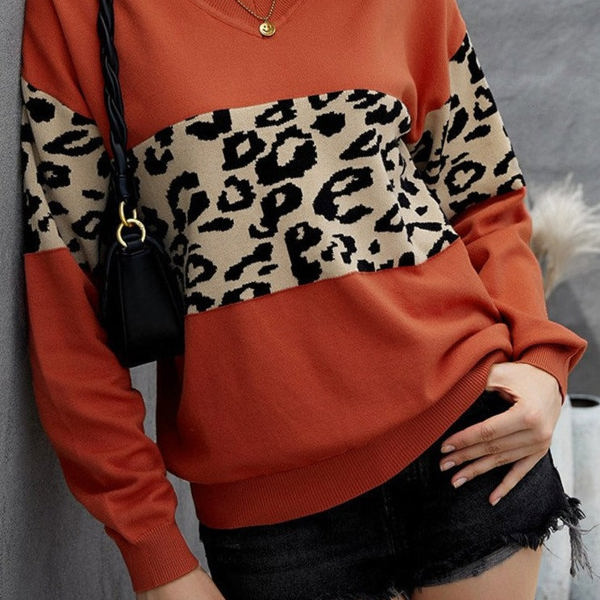 Leopard Colorblock V-Neck Top