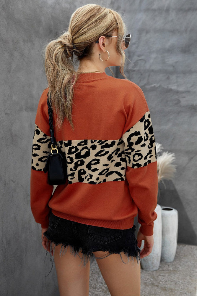 Leopard Colorblock V-Neck Top