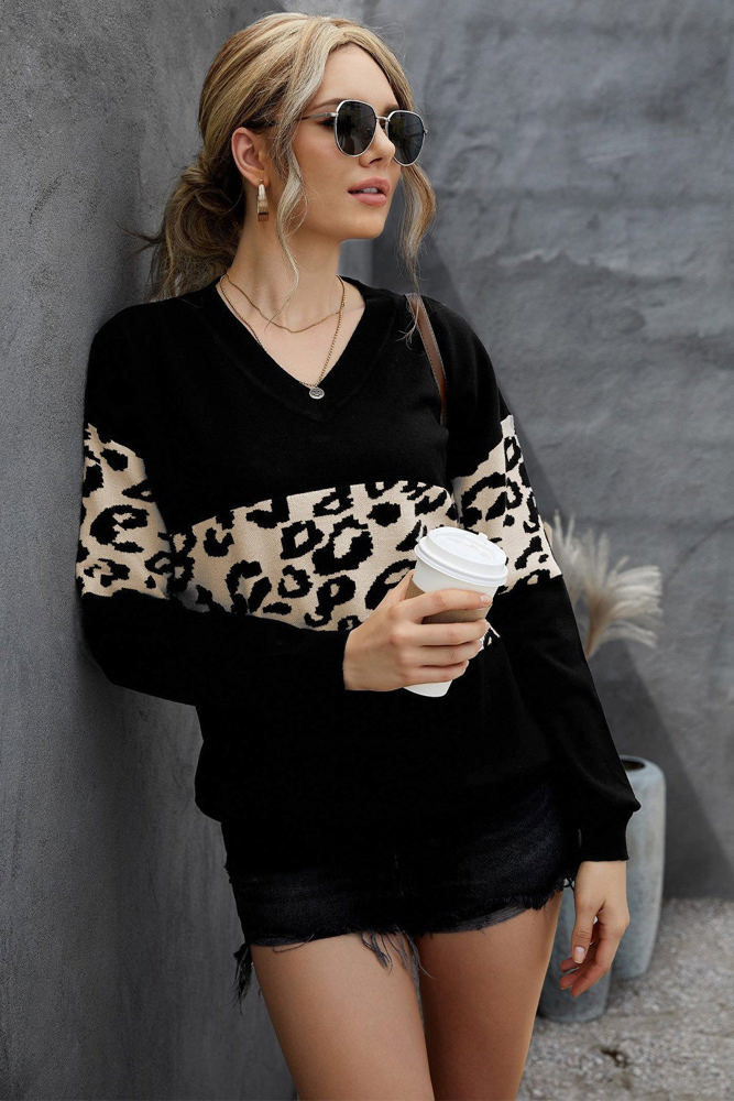 Leopard Colorblock V-Neck Top