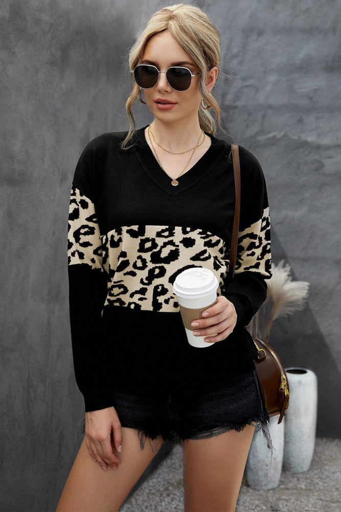 Leopard Colorblock V-Neck Top