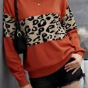 Large Red Leopard Colorblock V-Neck Top