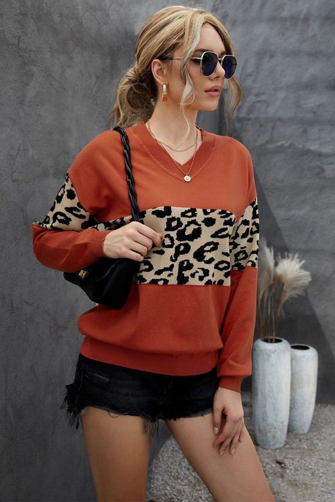 Leopard Colorblock V-Neck Top