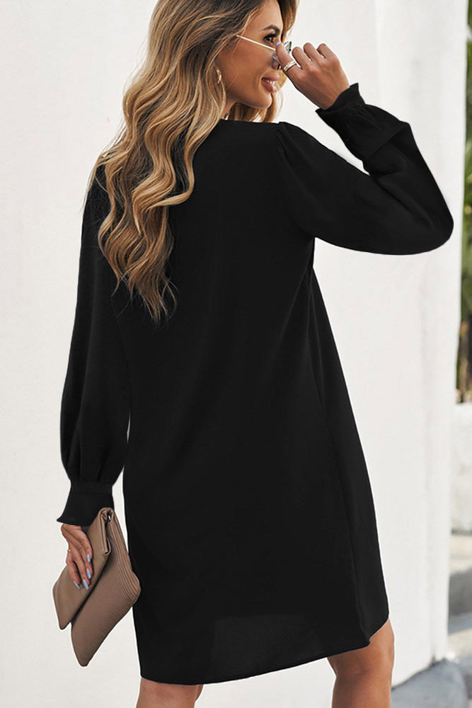 Pleated Front Long Sleeve Dress