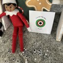  12-Day Elf Kit 