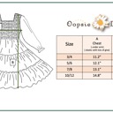  Girls Grace Blue & Pink Flower 3 Tiered Smocked Fall Dress