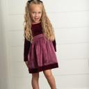  Plum Velvet Tie Dress