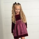 L Plum Velvet Tie Dress