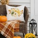  Assorted Fall Pillow Covers- 12 Design's Available