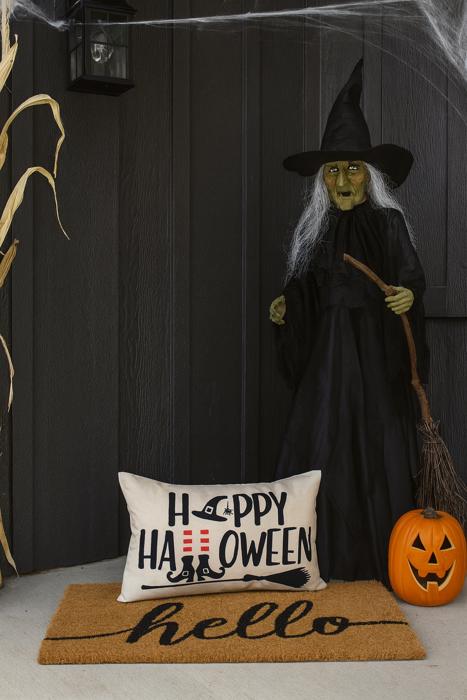 Assorted Halloween Pillow Covers- 10 Designs