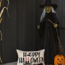  Assorted Halloween Pillow Covers- 10 Designs
