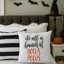  Assorted Halloween Pillow Covers- 10 Designs