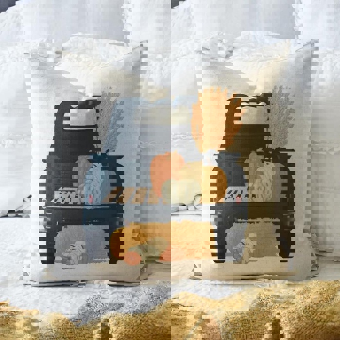 Assorted Fall Pillow Covers- 12 Design's Available