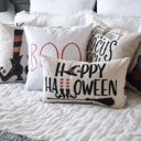  Eek Spider Halloween Pillow Cover