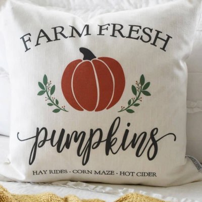 Sale- Fall Pillow Cover Pumpkin Patch Fall Decor Front Porch Pillow Fall Pillow Pumpkin Pillow Farm Fresh Pumpkins
