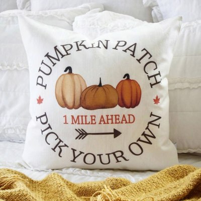 Sale- Fall Pillow Cover Pumpkin Patch Fall Decor Front Porch Pillow Fall Pillow Pumpkin Pillow