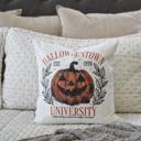  Halloweentown University Pillow Cover | Vintage Pumpkin Halloween Throw Pillow | Spooky Fall Farmhouse Cushion | Halloween Movie Home Decor