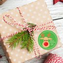  Christmas Reindeer Favor Sticker Set 2.5"| Personalized