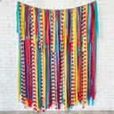  Circus Fringe Streamer Backdrop| Circus Party