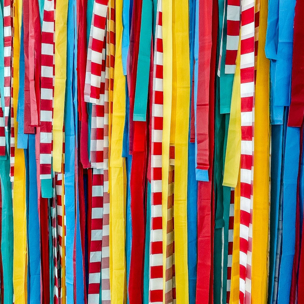 Circus Fringe Streamer Backdrop| Circus Party