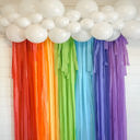  Classic Rainbow Fringe Streamer Backdrop